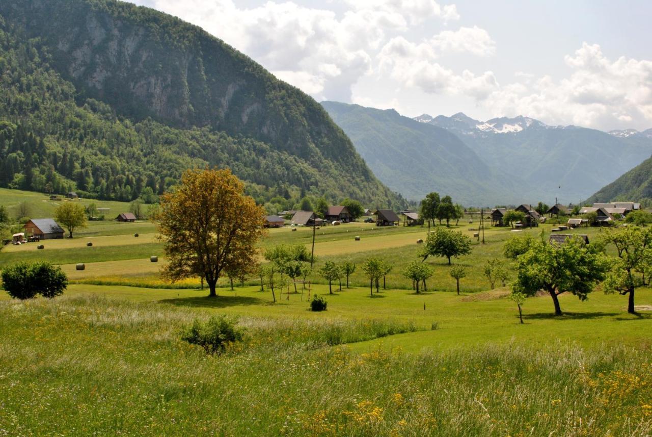 Riverside Village Apartment Bohinj Exteriör bild
