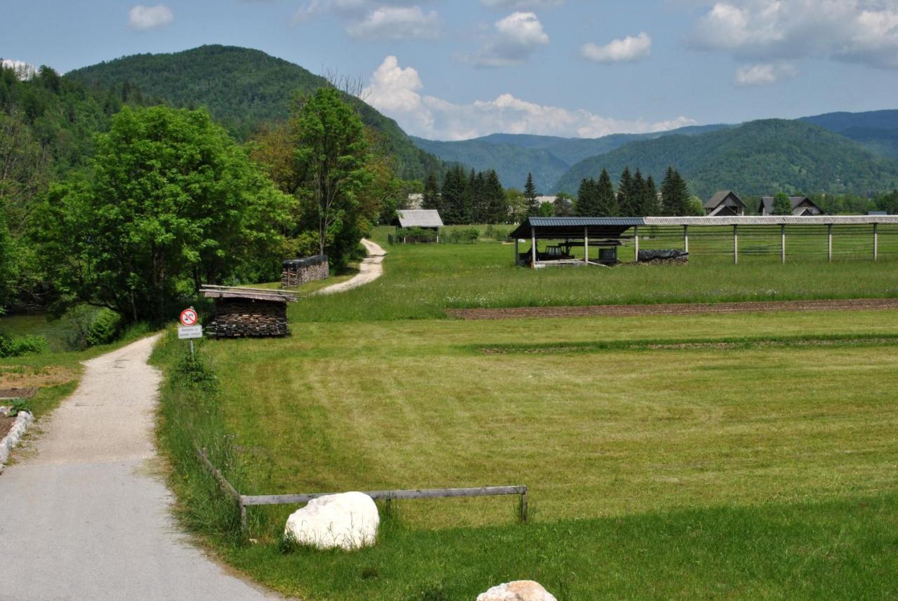 Riverside Village Apartment Bohinj Exteriör bild